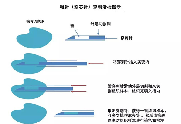 图片35.jpg